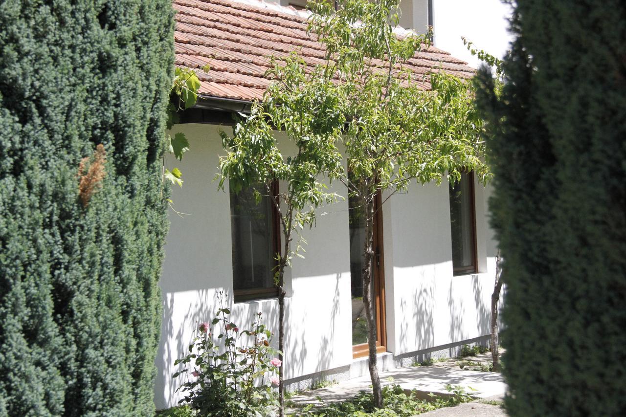 Garden Guesthouse Gjakova المظهر الخارجي الصورة
